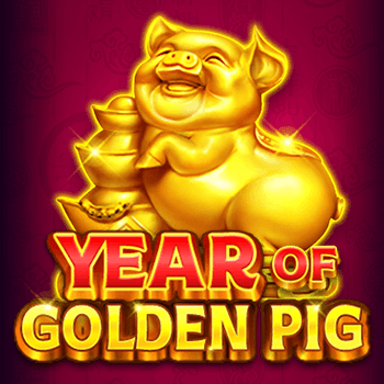 Year Of Golden Pig